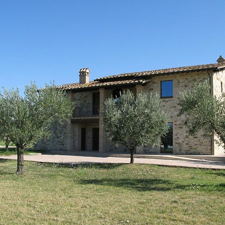 Valle Di Assisi Country Apartments Eksteriør billede