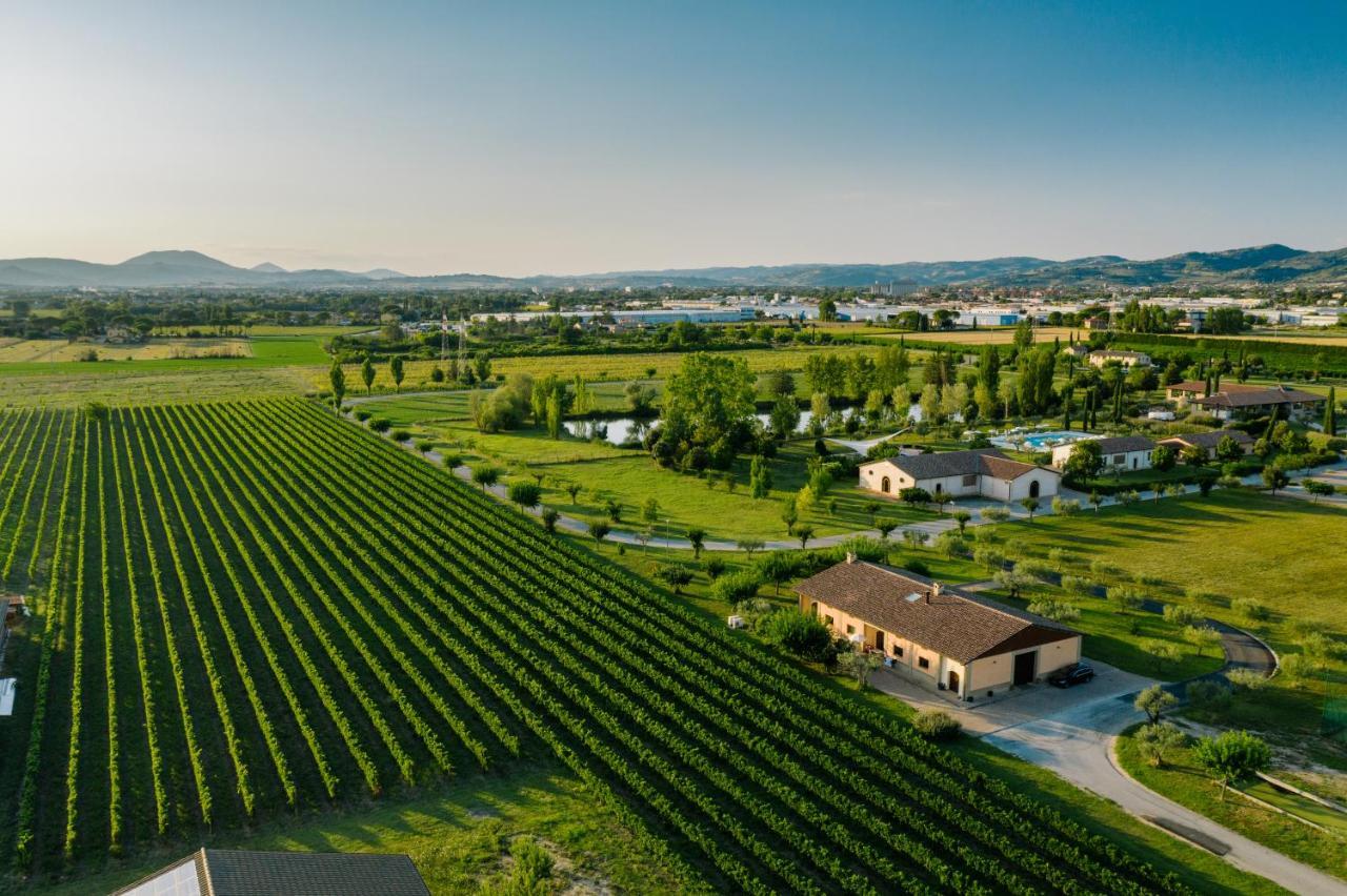 Valle Di Assisi Country Apartments Eksteriør billede