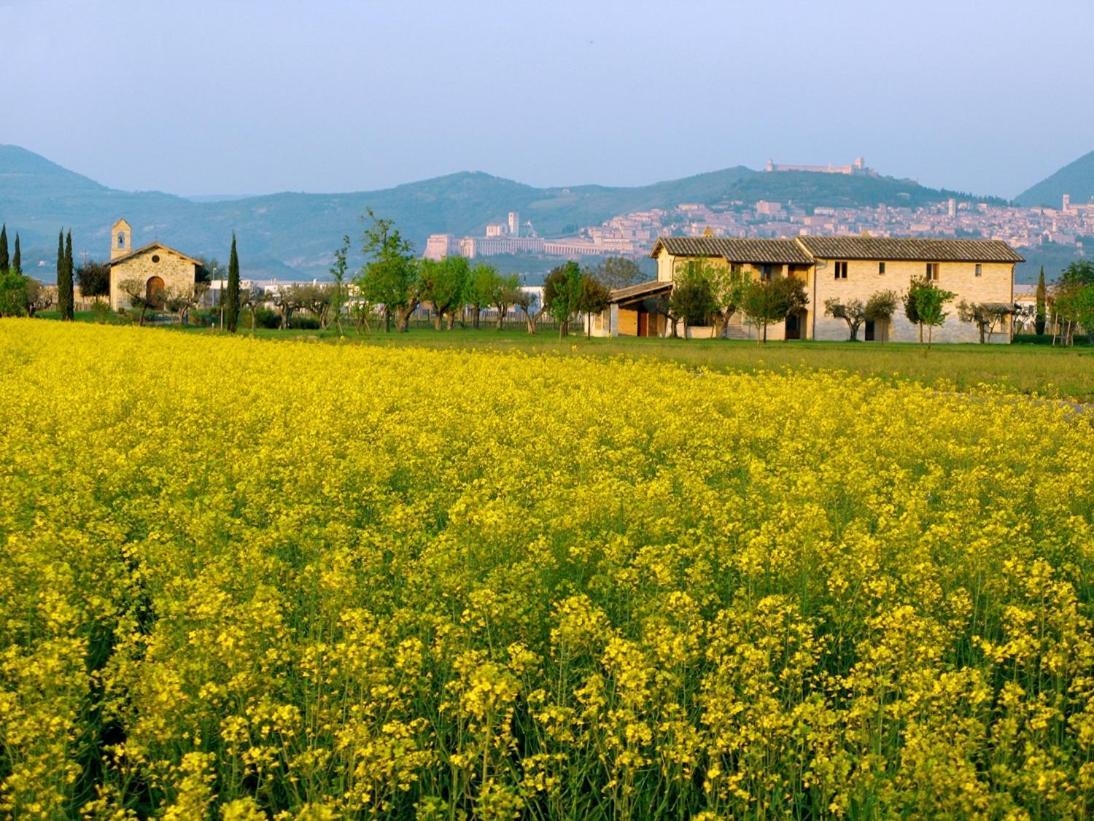Valle Di Assisi Country Apartments Eksteriør billede