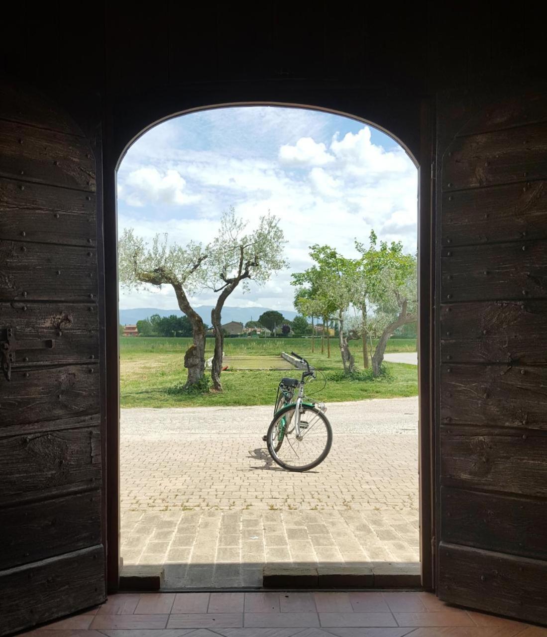 Valle Di Assisi Country Apartments Eksteriør billede