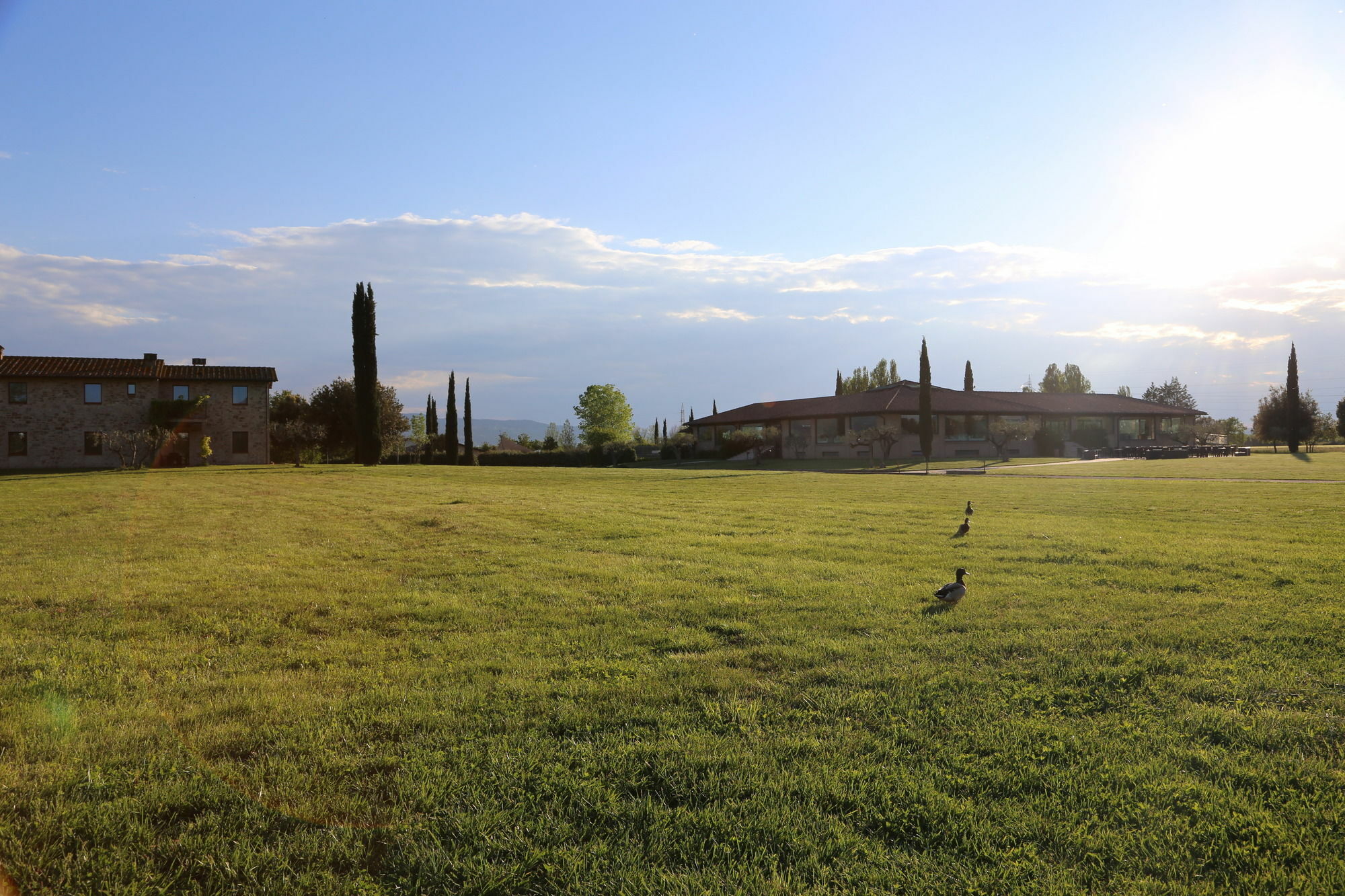 Valle Di Assisi Country Apartments Eksteriør billede