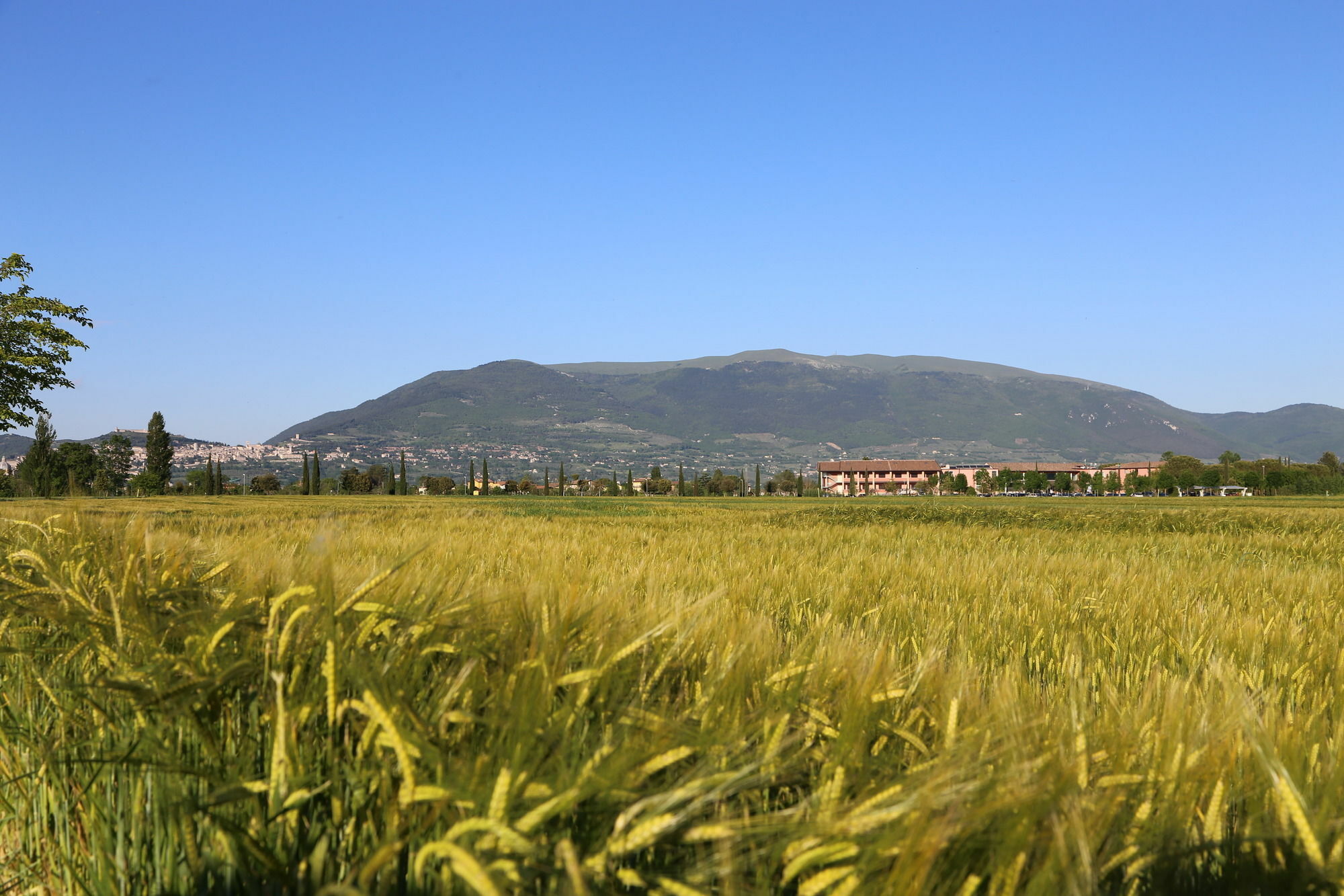 Valle Di Assisi Country Apartments Eksteriør billede