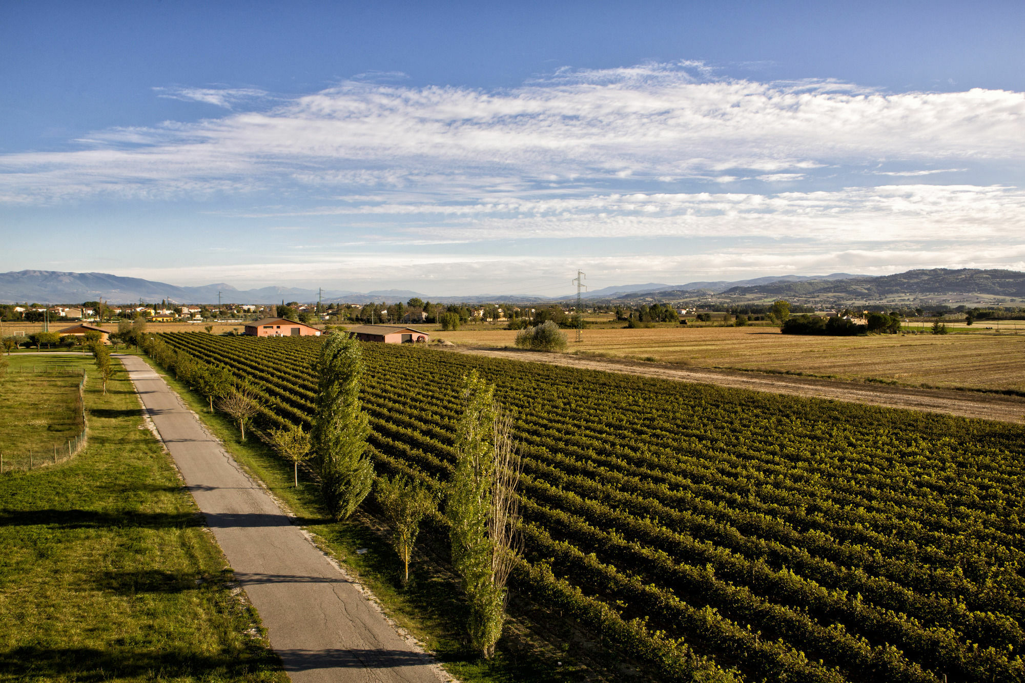 Valle Di Assisi Country Apartments Eksteriør billede