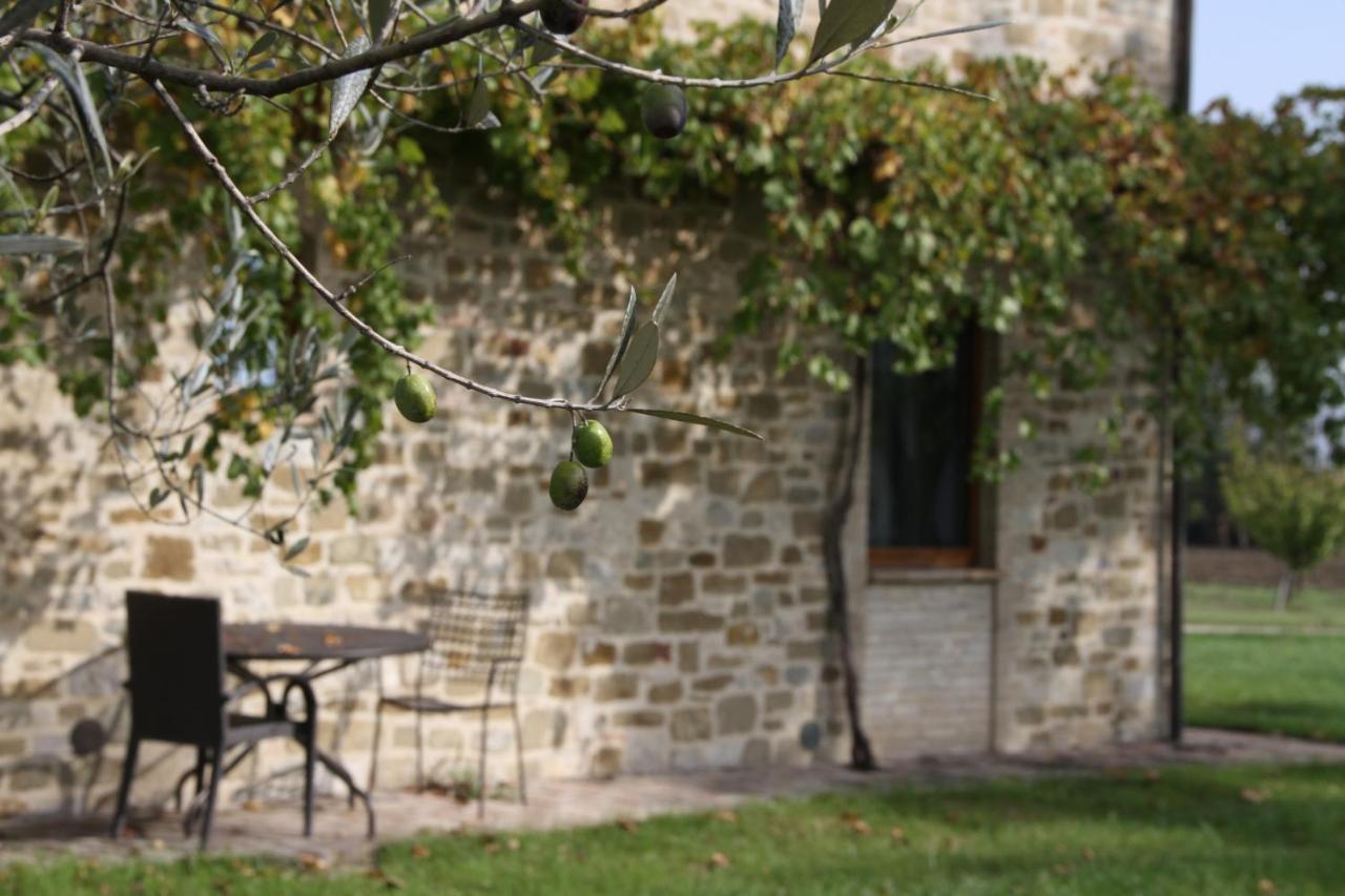 Valle Di Assisi Country Apartments Eksteriør billede